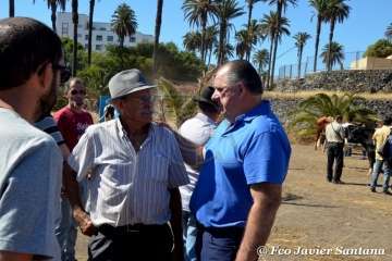 Muestra de ganado de las fiestas del patrono de Telde (Foto  Francisco Javier Santana)